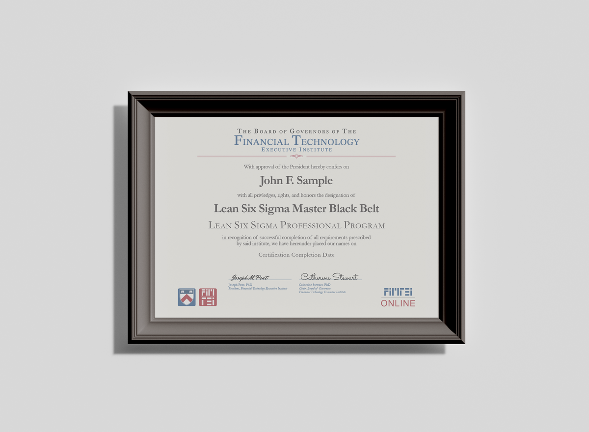Lean Six Sigma Master Black Belt Certified (LSMBC) For Organizations